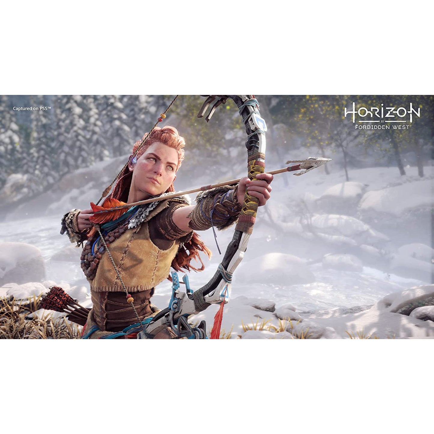 Horizon Forbidden West PlayStation 5 PS5 Brand New