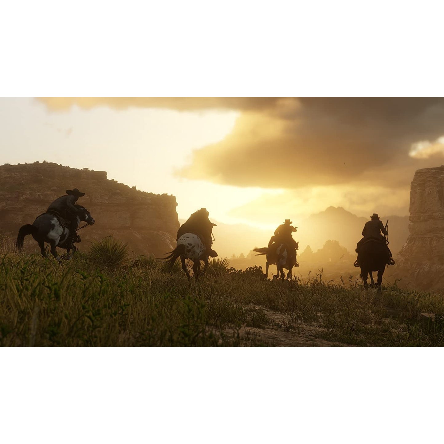 Red Dead Redemption 2 PlayStation 4 PS4 Brand New