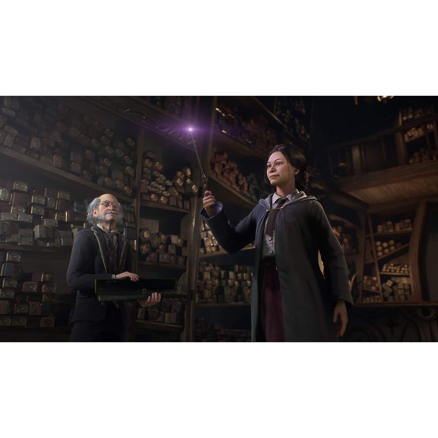 Hogwarts Legacy PlayStation 5 PS5 Brand New