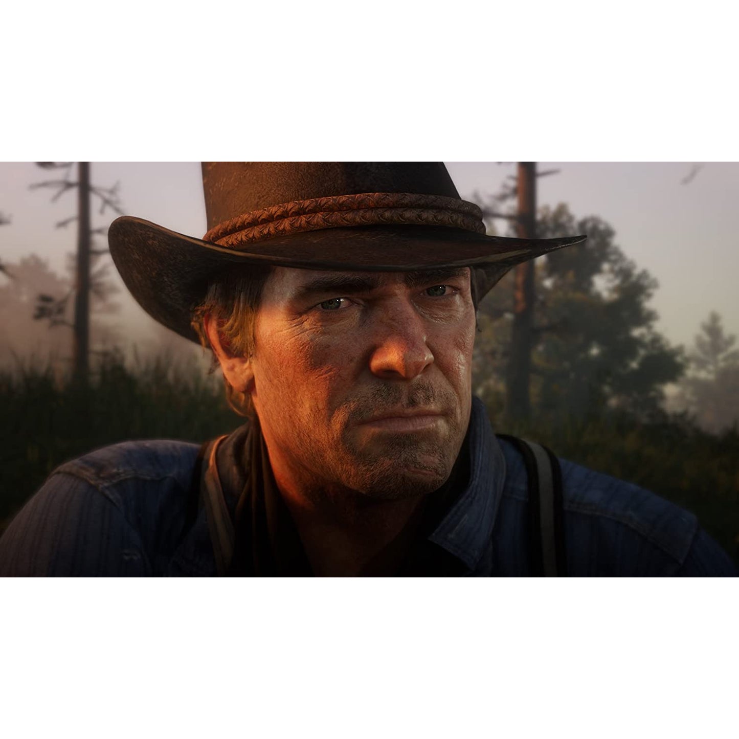 Red Dead Redemption 2 PlayStation 4 PS4 Brand New